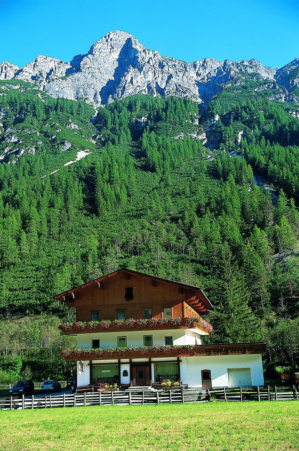 Pension Nina & Gasthof Alpenrose Гшниц Экстерьер фото